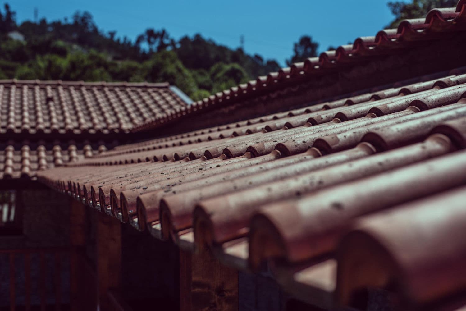 Blog post Mesa Roof Maintenance by Type: Tile vs. Foam vs. Shingle image